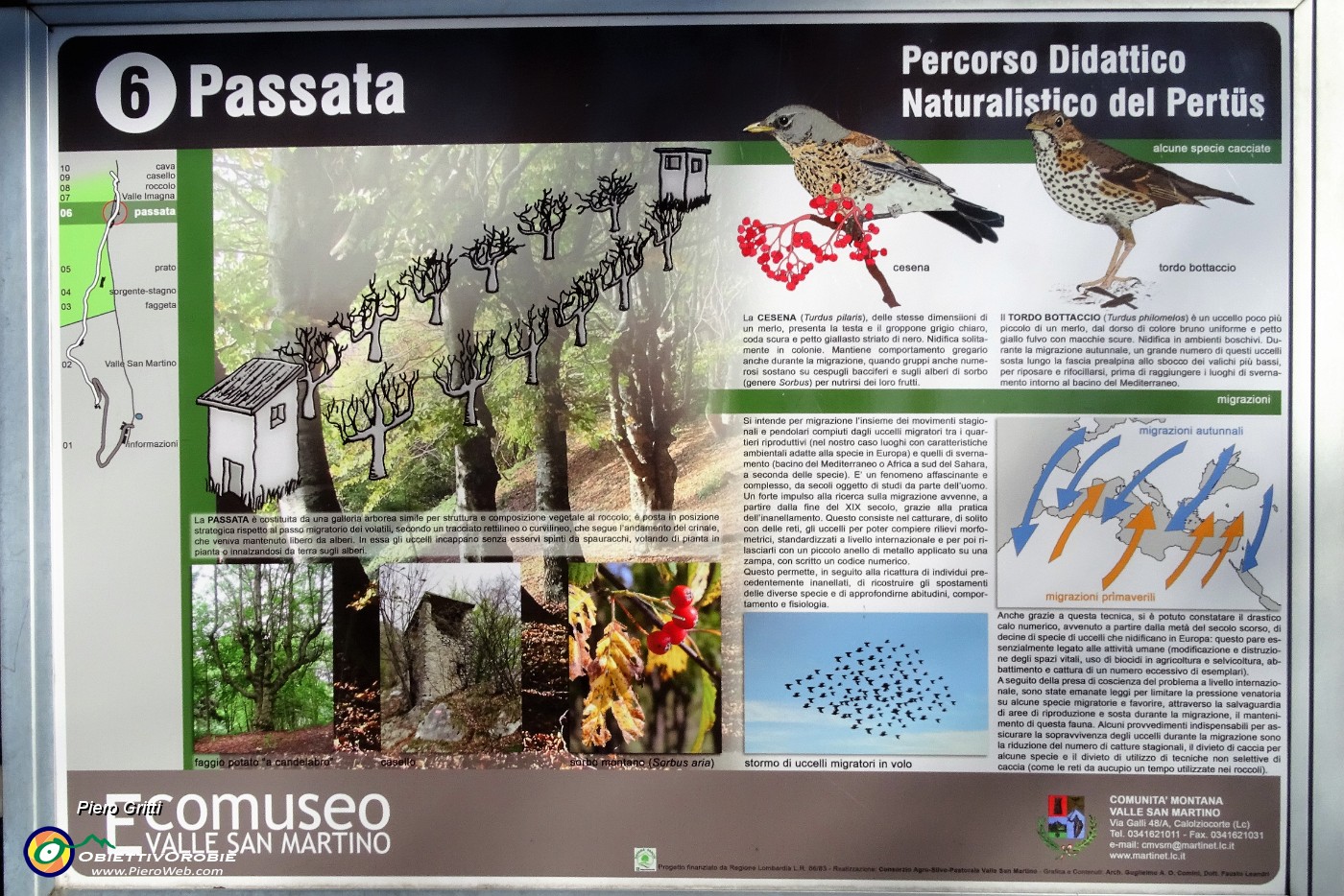 45 La Passata....JPG